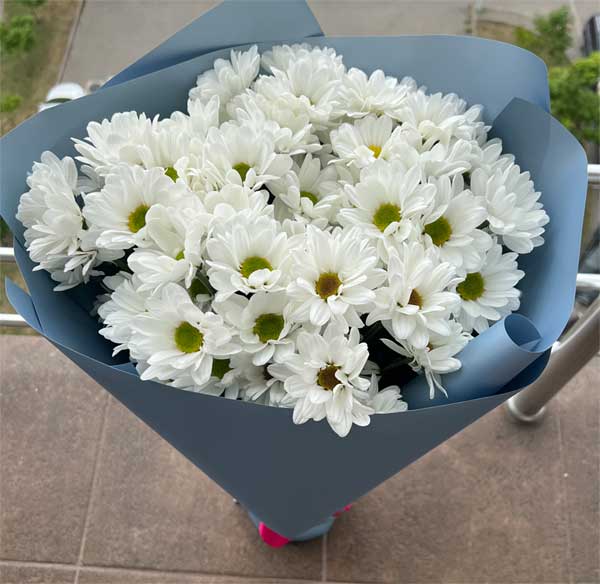 Букет ромашкових хризантем Чернівці