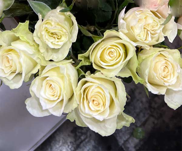 Букет троянд №8