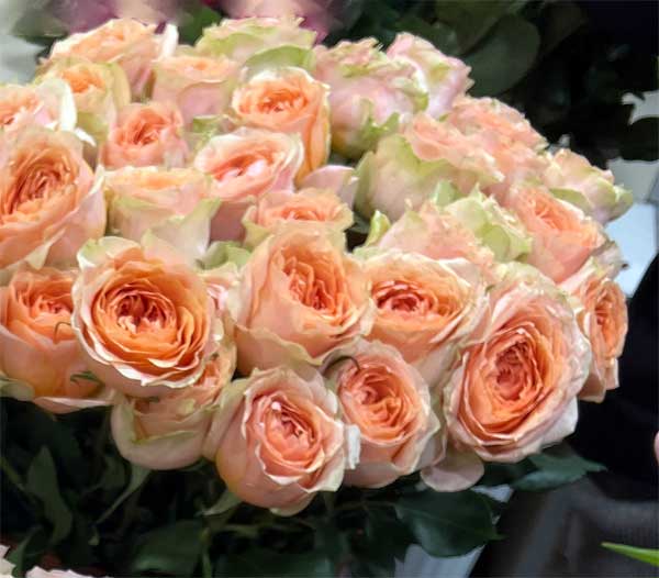 Букет троянд №10