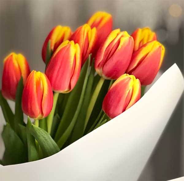 Букет тюльпанів Чернівці